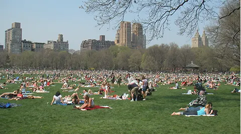 Central Park & Upper Manhattan