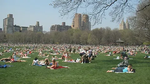 Central Park & Upper Manhattan