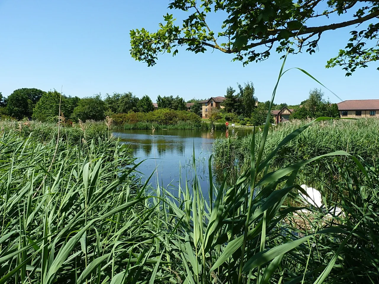 Compton Pools