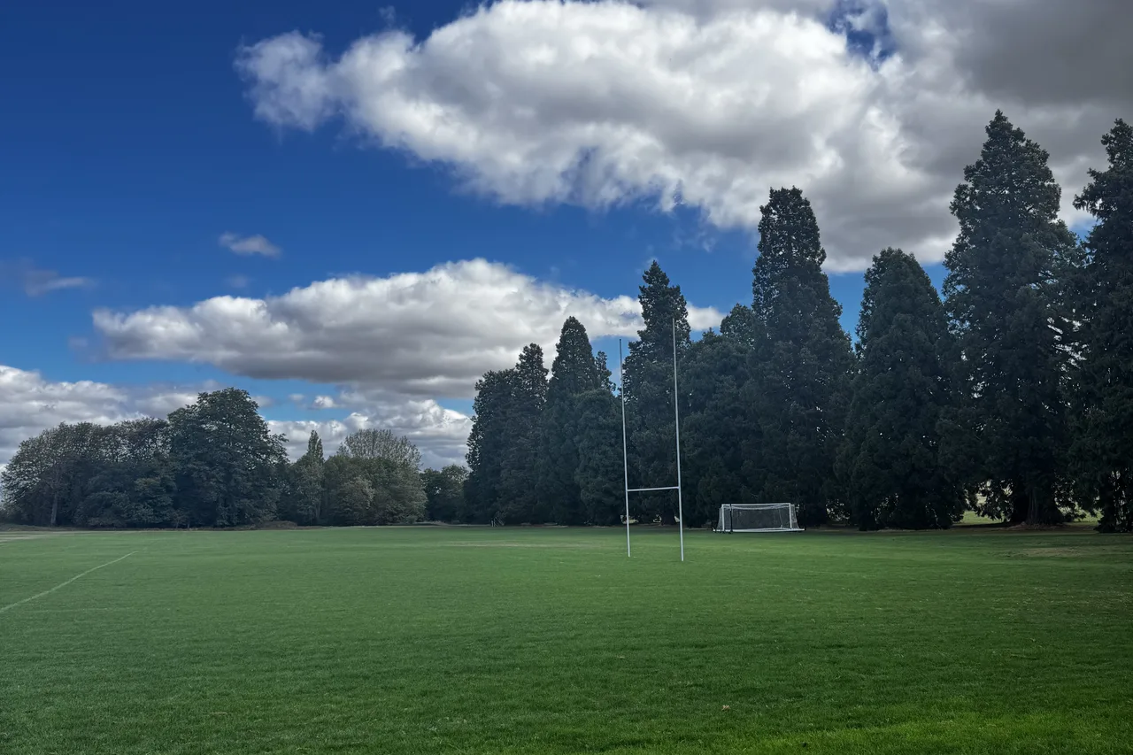 Playing fields