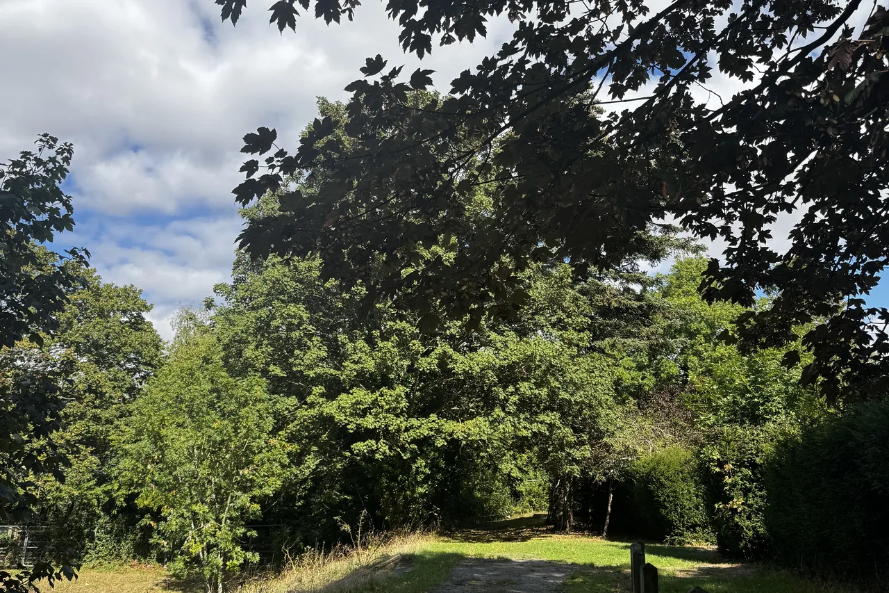 Path on campus